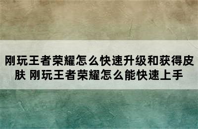 刚玩王者荣耀怎么快速升级和获得皮肤 刚玩王者荣耀怎么能快速上手